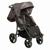 Инвалидная коляска для детей с ДЦП Special Tomato EIO Push Chair